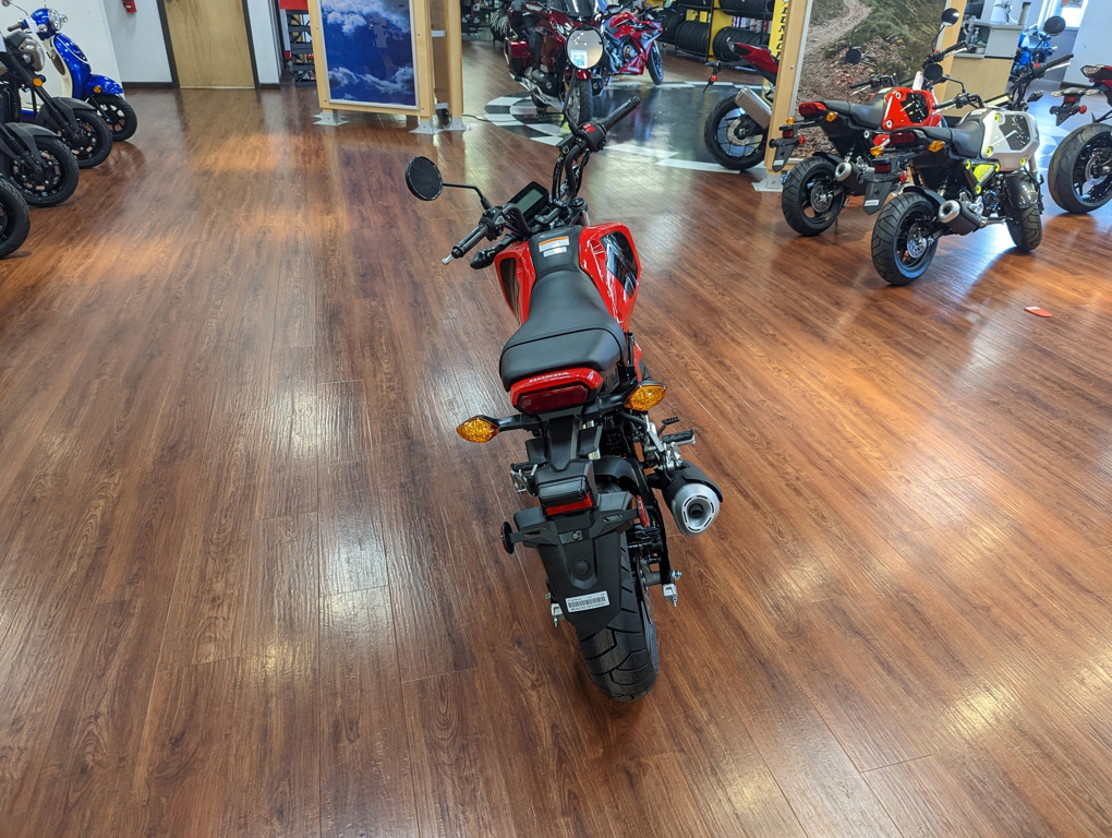 New Honda GROM - Image 5
