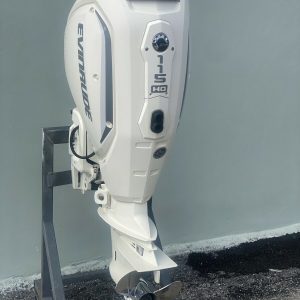 2020 Evinrude 115Hp E-Tec Ho-2-Stroke-Outboard-Motor