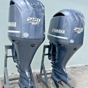 Yamaha F20SEA Outboard Motor Four Stroke Portable